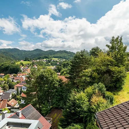 Wein- Und Klimahotel Bergfriedel Bühlertal
