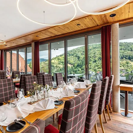 Πανσιόν Wein- Und Klimahotel Bergfriedel 3*