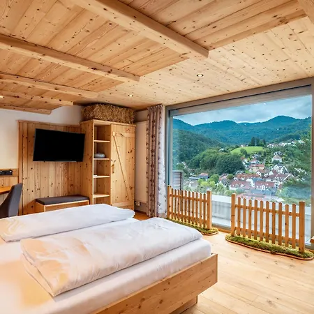 Wein- Und Klimahotel Bergfriedel 3* Bühlertal