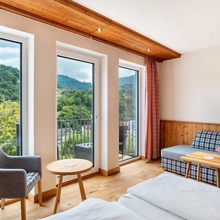 ゲストハウス Wein- Und Klimahotel Bergfriedel 3*