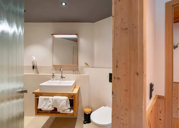 Pensionat Wein- Und Klimahotel Bergfriedel Bühlertal